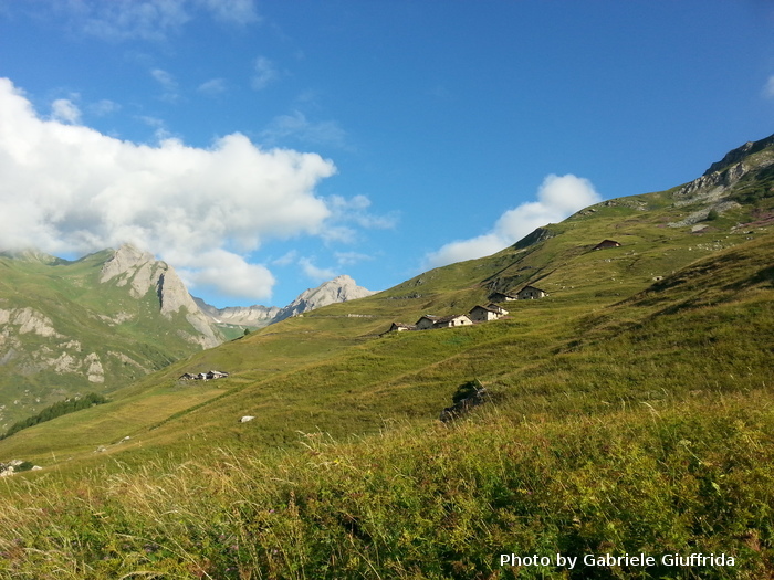 7 The Giant Trek gabriele giuffrida