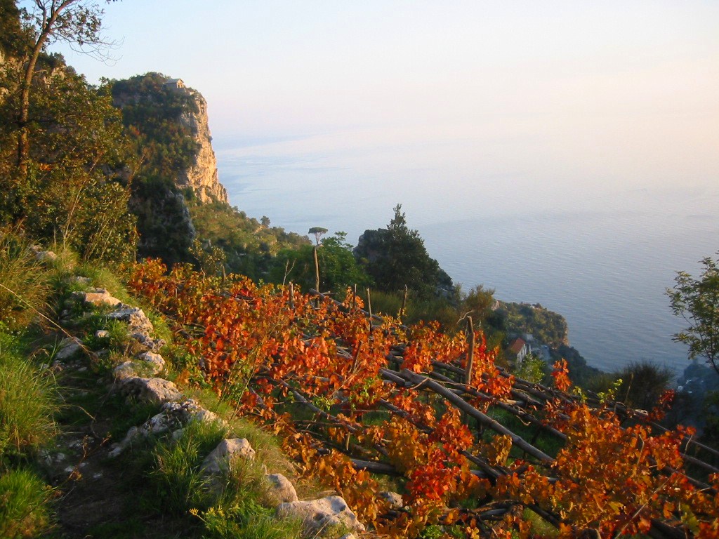 amalfi7