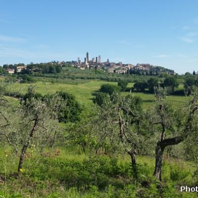 2 San Gimignano Marta Zarelli