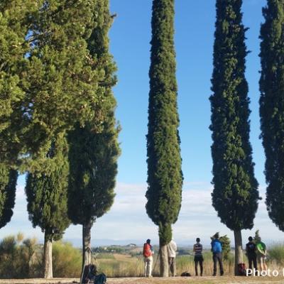4 Via Francigena Colle Val D Elsa Marta Zarelli