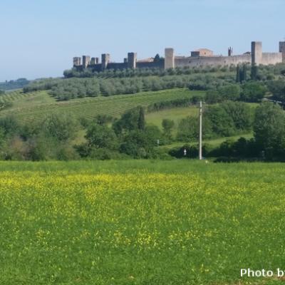 7 Monteriggioni And Siena Marta Zarelli