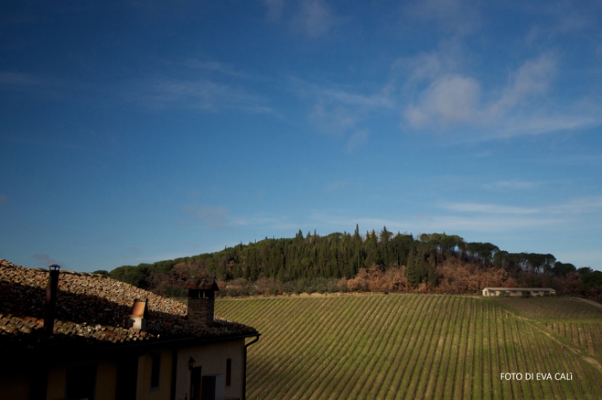 DiWine landscape in Tuscany, Photo tour